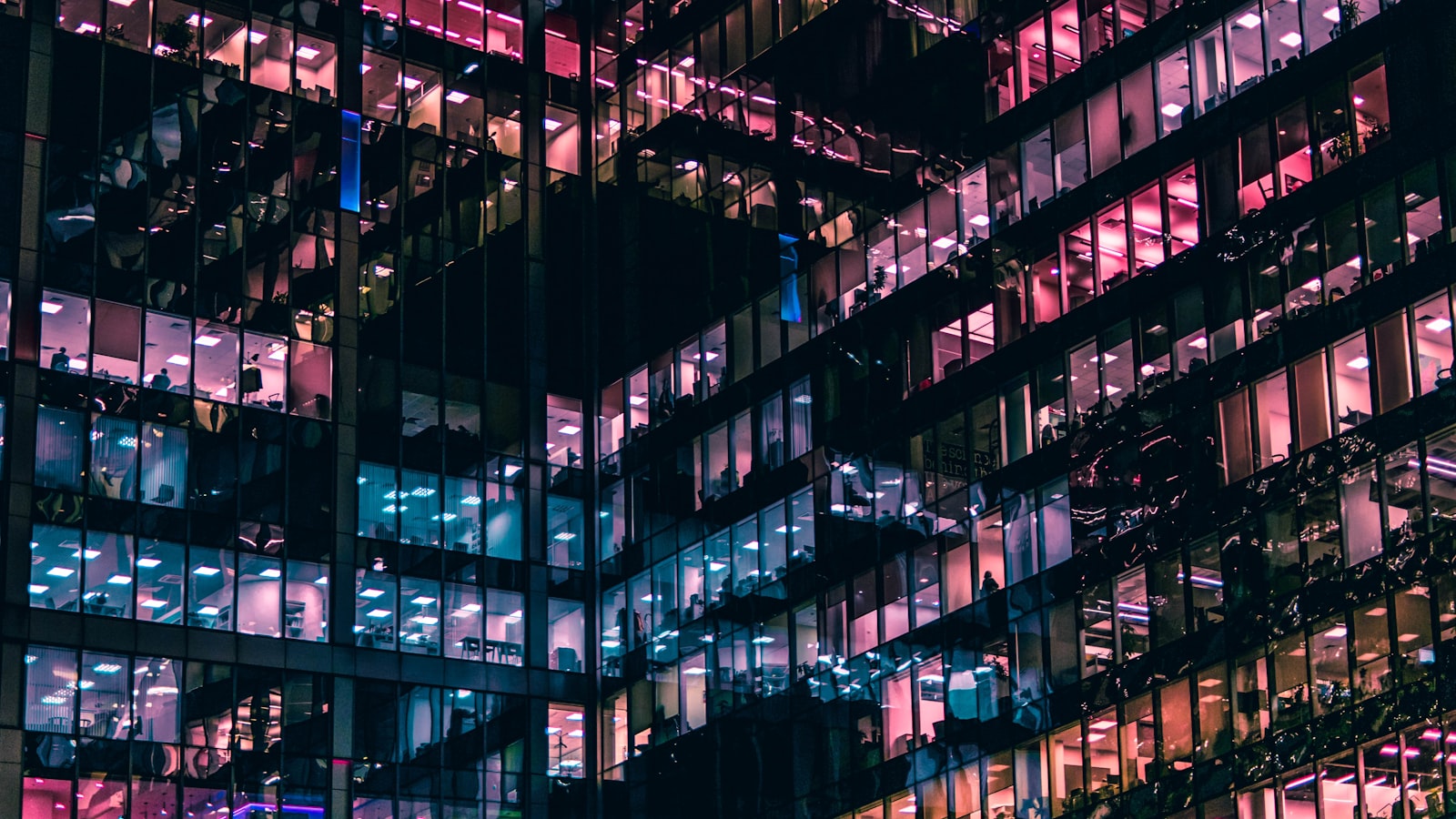 IT consulting professional in a business setting